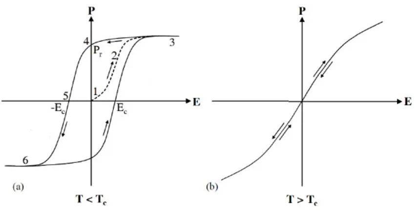 Figure I.36: Polarisation en fonction du champ électrique appliqué pour différéntes phases ; (a) ferroélec- ferroélec-trique ; (b) paraélecferroélec-trique [12]