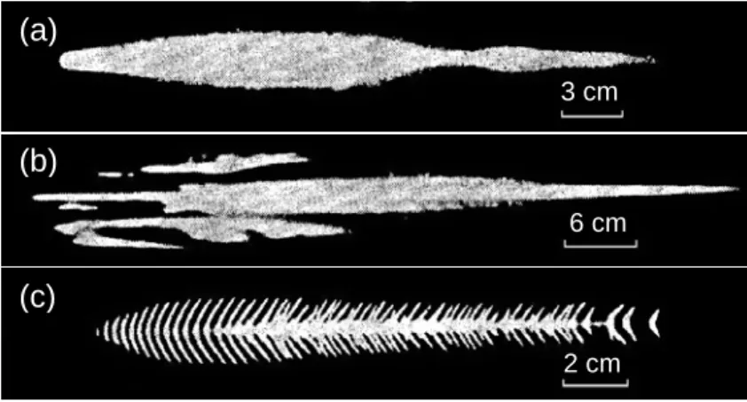Fig. 1.6: Open-shutter photographs of a helium discharge, recorded in the E plane: (a) p=5  torr, (b) p=100 torr, (c) p=600torr