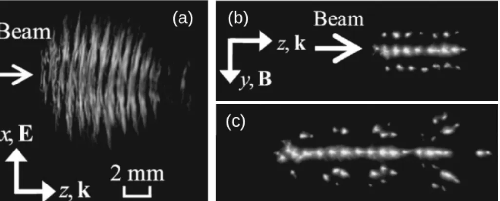 Fig. 1.8: Typical time-integrated volume breakdown plasma images in (a) E plane and (b),  (c) H plane