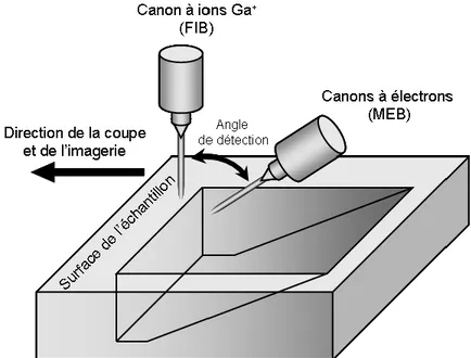 Figure 14: Dispositif du faisceau d’ions focalisés (FIB) pour une analyse physique de surface
