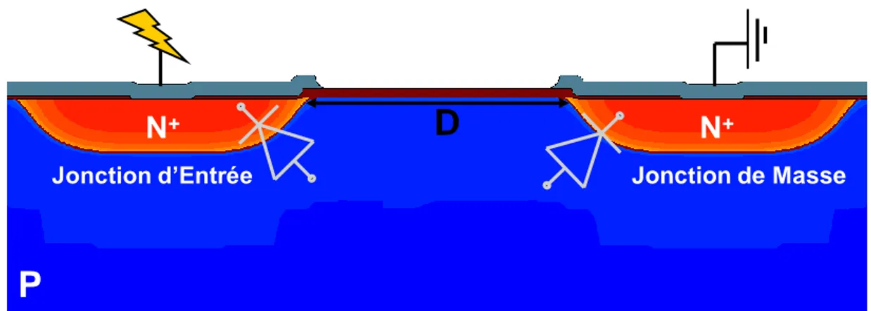 Figure 28: Configuration de la diode de protection bidirectionnelle avec les deux diodes tête bêche