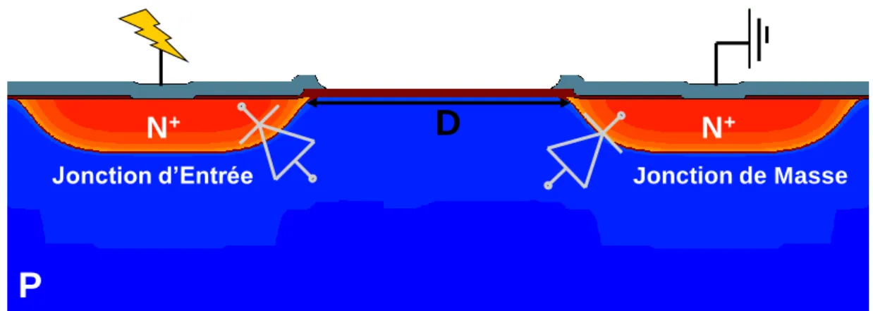 Figure 28: Configuration de la diode de protection bidirectionnelle avec les deux diodes tête bêche