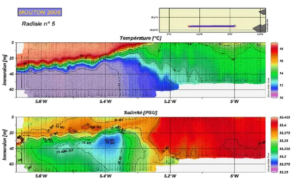 Fig. 3.2: Temperature and salinity cross sections obtained on the 16 th of August 2005 (MOUTON2005 campaign).