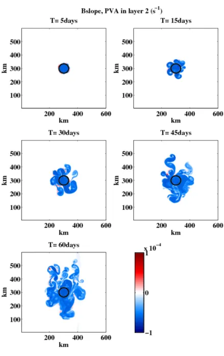 Fig. 3.23: PVA in the second layer after 5, 15, 30, 45 and 60 days illustrating the effects of a slope α = 0.00025 on the production pattern.