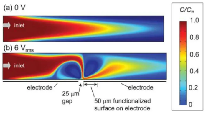 Figure 1-10-Profil de concentration dans un écoulement modifié par électrothermie à t=5s