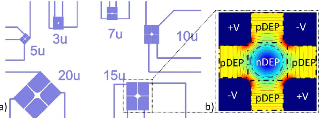 Figure 2-11- a) Dessin de masques de différentes électrodes quadripolaires dont l’espacement entre deux  électrodes adjacentes est de 20µm, 15µm, 10µm, 7µm, 3µm  et 5µm b) Simulation du champ électrique 