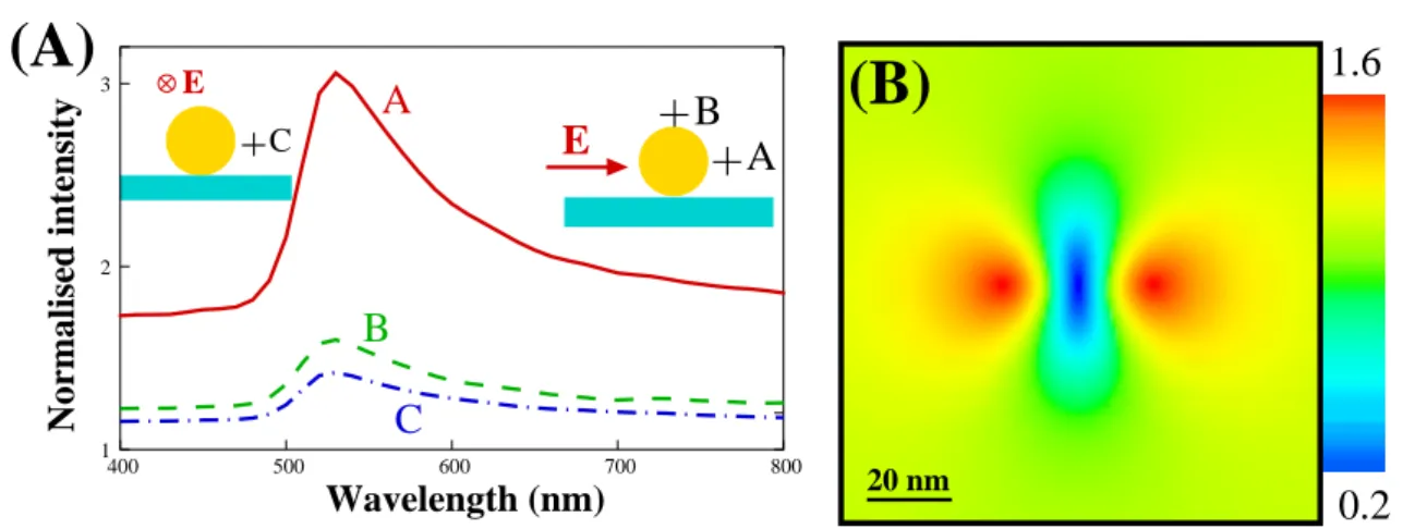 Figure I.3 – (a) Spectres de champ proche au voisinage d’une nanosphère d’or de 2.5 nm de rayon