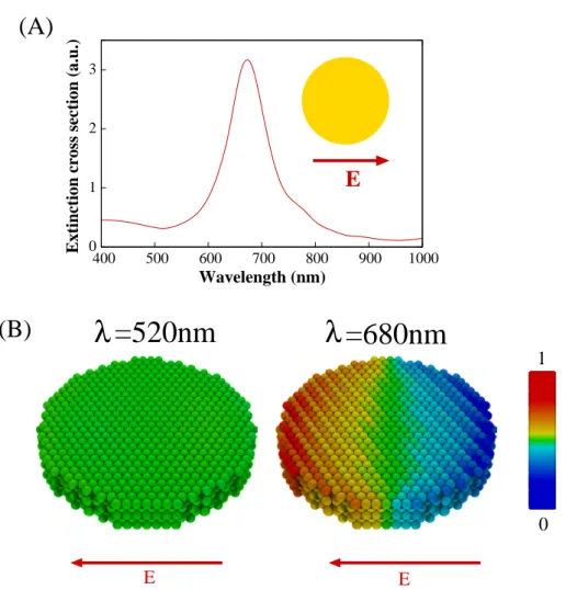 Figure I.12 – (a) Spectre d’extinction pour un nano-disque d’or de 120 nm de diamètre et 20 nm de hauteur déposé sur une surface de verre