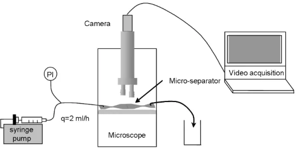 Figure 2.4: Dispositif expérimental de filtration permettant une observation directe du