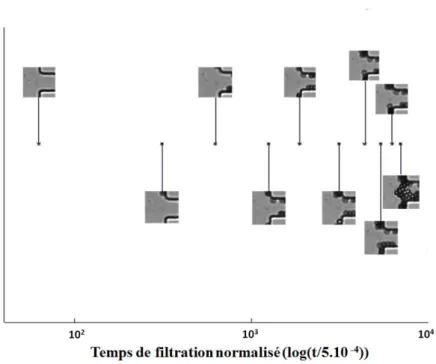 Figure 2.24: Blocage instantané d’un pore : phénomène de "bridging" lors d’une filtration