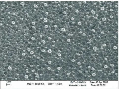 Fig. 5.11: Image de la surface d’une couche de dioxyde d’´ etain, obtenue par SEM - Bashmakov2009