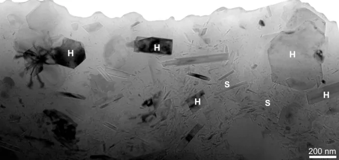 Figure II.D.5 :  Image en champ clair du prélèvement ESP-4 cuit à 1050°C, réalisée en microscopie  électronique à transmission (S : spinelle, H : hématite)