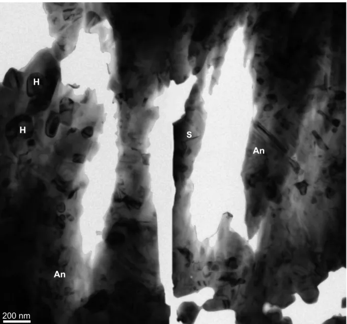 Figure II.D.7 :  Image en champ clair du prélèvement ESP-7 cuit à 1050°C réalisée en microscopie  électronique à transmission (S : spinelle, H : hématite, An : Anorthite)