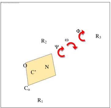 Figure 5 : formes résonantes de la liaison peptidique 