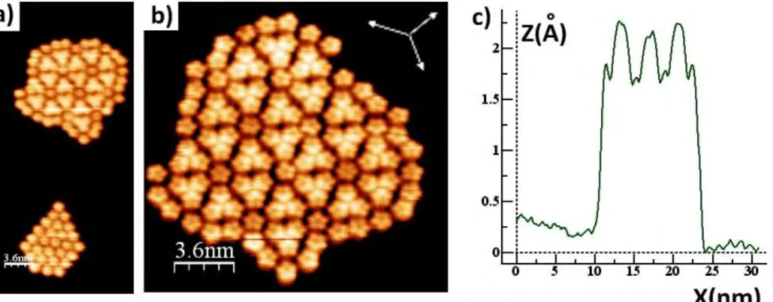 Figure II-12 : Images STM 18x38.5 nm² et 18x18 nm² effectuées à 77 K. Il s’agit de l’auto-assemblage de PTBC 
