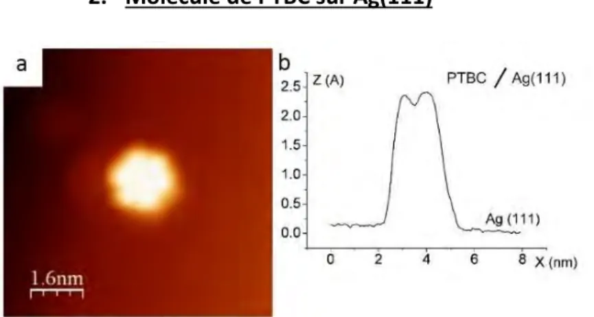 Figure II-13 : Image 7x7 nm² d’une molécule de PTBC sur son substrat d’argent (111) (V polarisation  = 1.5 V ; I tunnel  = 