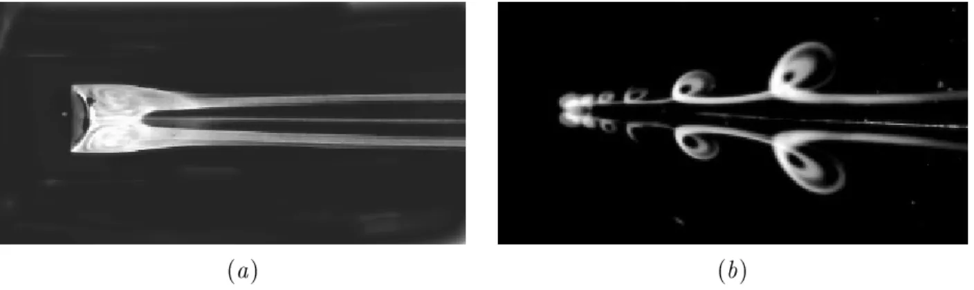 Fig. 1.6  Visualisation de sillage derrière une sphère solide xe : (a)- laments tourbillon-