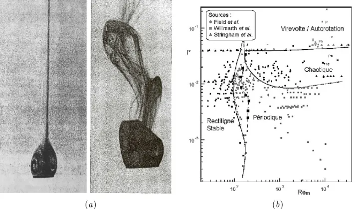 Fig. 1.9  (a)- Trajectoires rectiligne et zigzag d'un disque en chute libre (Willmarth et al.