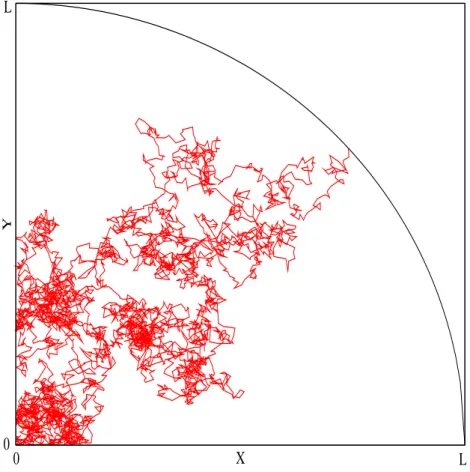Fig. III.6 – Exemple de trajectoire en deux dimensions, avec des conditions aux bords réfléchis-