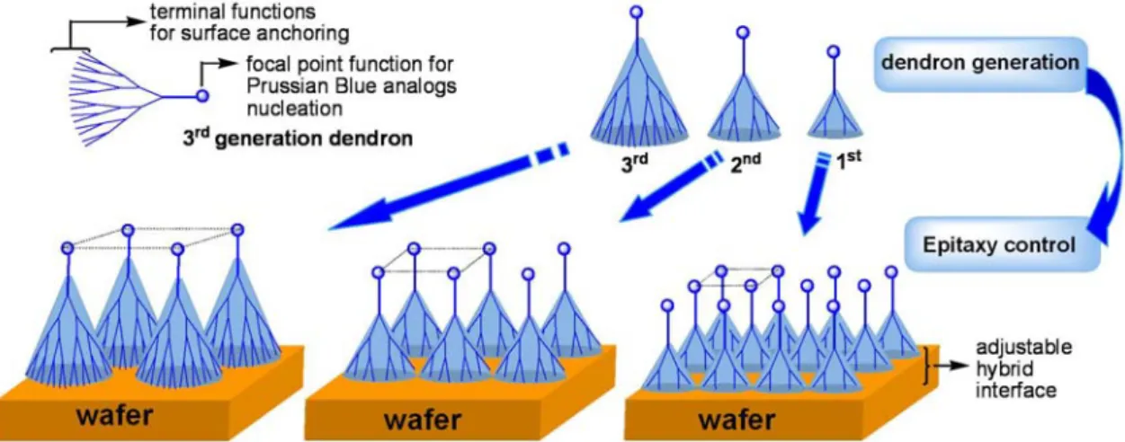 Figure A.4.10 : Schéma de substrats d’or modifiés par différentes générations des  dendrimères.