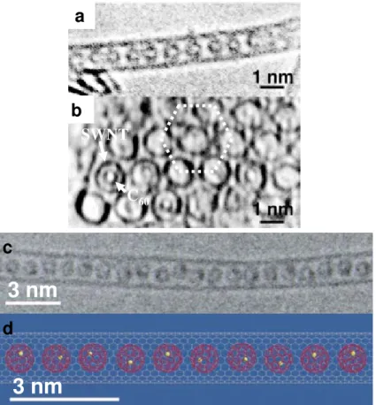 Fig. 2.3 – (a,b) Images TEM à haute résolution de SWNTs remplis avec des C 60 (a,b) [35]