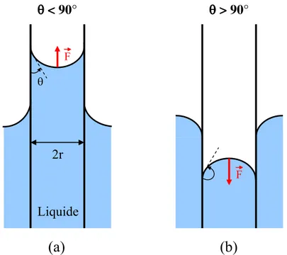 Fig. 2.5 – Représentation schématique d’un tube plongé verticalement dans un liquide. (a) Le liquide mouille la surface (θ &lt; 90 ◦ ) et peut s’élever dans le tube (∆P &gt; 0) jusqu’à ce que la pression hydrostatique compense la dépression de Laplace