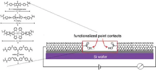 Figure 1.3: A molecular bridge composed of two or three molecules connected  between two single wall carbon nanotubes