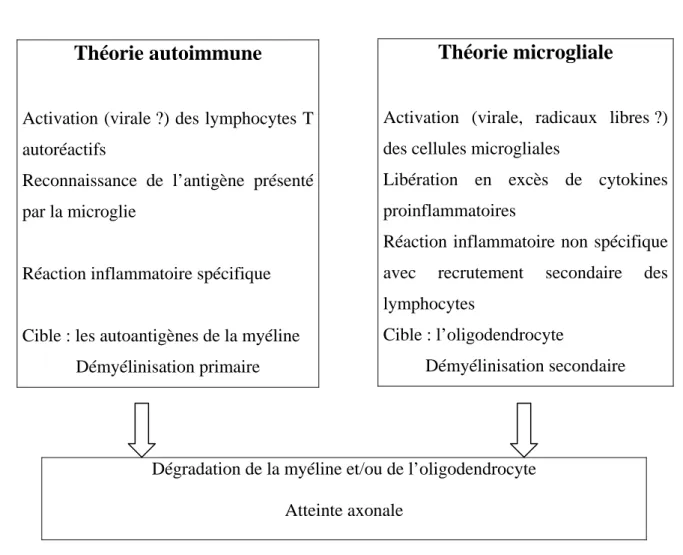 Tableau I-1 : Hypothèses étiopathogéniques 