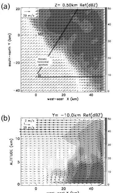 Fig. 3.4  (a) Wind vectors and reectivity (dBZ) pattern (grey scale) at 0.5-km altitude within a squall-line system as simulated by the Meso-NH model
