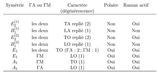 Tab. 1.3  Fréquences expérimentales, sauf pour les modes B 1 (calculs), des modes de ZnO au point Γ.