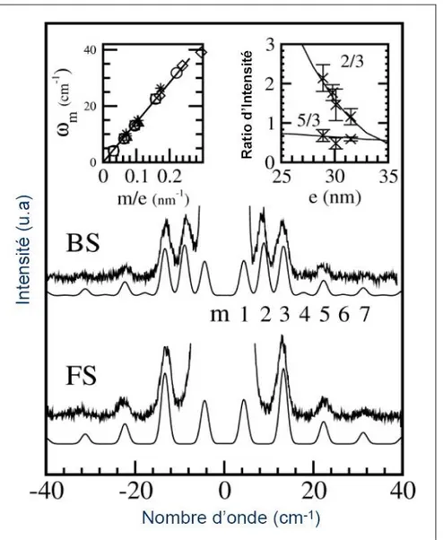 Figure  2-6 :  Spectres  expérimentaux  et  simulés  en  rétrodiffusion  (BS)  et  en  diffusion  en  avant  (FS)  d’une  membrane  de  silicium  de  31,5  nm  ( λ i =413,1  nm  et  la  résolution 