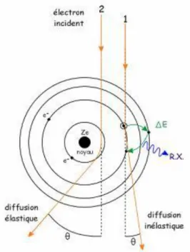 Figure II.2 : Schéma explicatif des différentes interactions entre l’électron incident et la  matière 