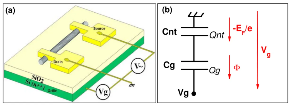 Figure 2.5 – (a) Configuration transistor de connexion d’un nanotube individuel, 2 contacts de palladium (P d) servent de source et drain de courant ; la tension de grille V g est appliquée