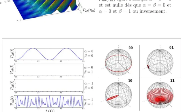 Fig. 4.5 – ´ Evolution de la pro- pro-babilit´e de pr´esence P ab (τ m ) en