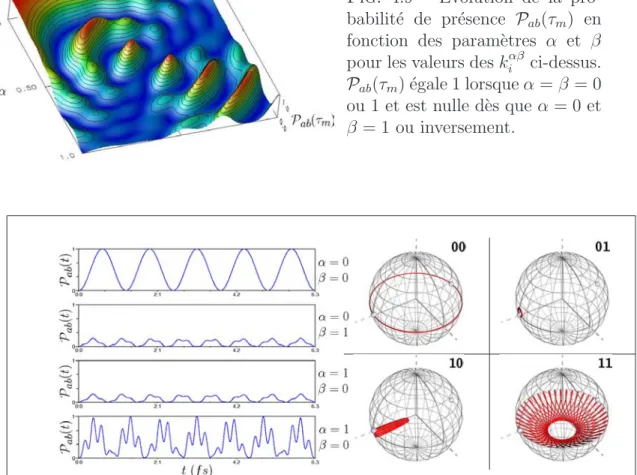 Fig. 4.9 – ´ Evolution de la pro- pro-babilit´e de pr´esence P ab (τ m ) en