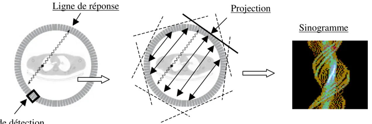 Figure 8: Etapes de fabrication du sinogramme. 