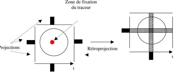 Figure 19: Opération de rétroprojection. Mise en évidence de l'artéfact en étoile. 