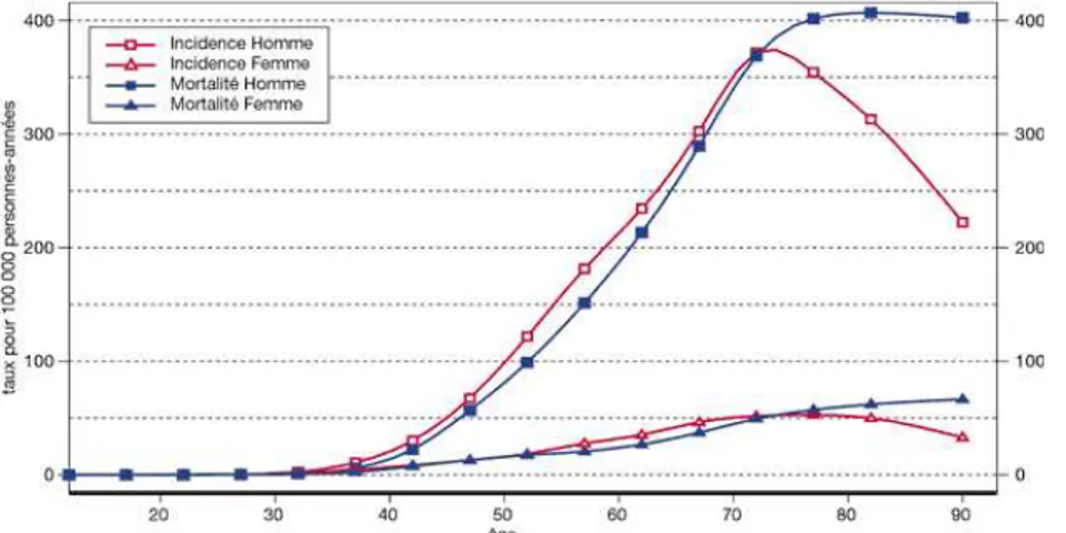 Figure I-2 : Répartition par âges de l’incidence du cancer du poumon et de la mortalité issus  des estimations de 2000