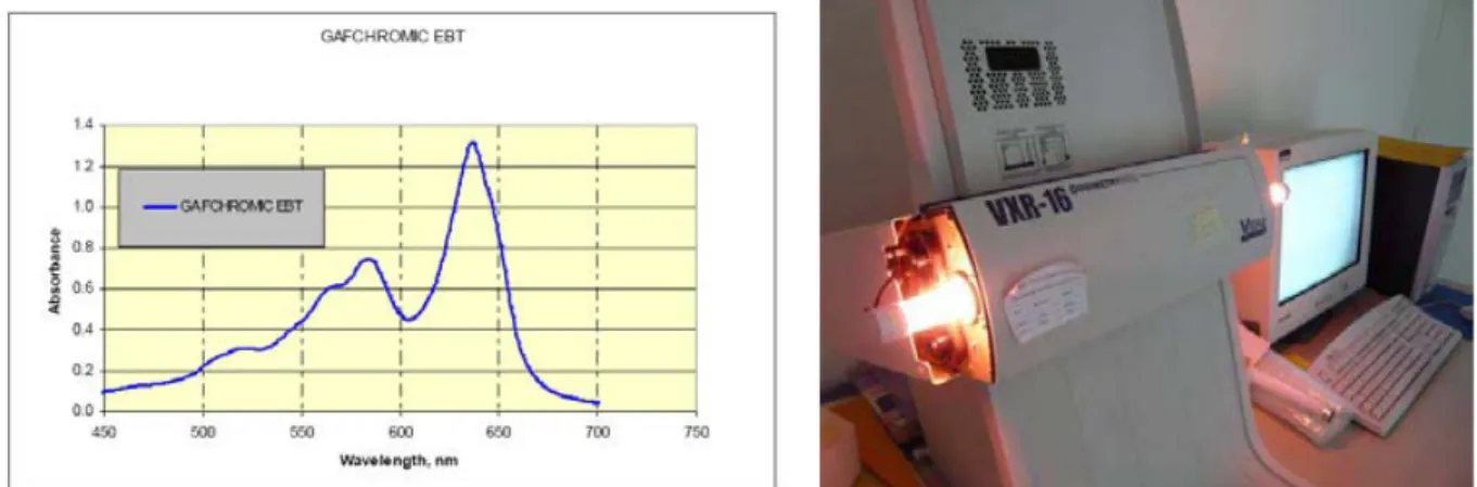Figure I-39 : Spectre d’absorption du film Gafchromic EBT. Néon rouge installé sur le  scanner Vidar/Vxr16 dosimétrie Pro