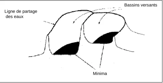 Figure 6: minima, bassins versants et ligne de partage des eaux. 