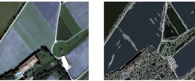 Figure 2.9 : Segmentation réalisée par Mean Shift à partir des réflectances acquises dans le  visible (d’après  Inglada, 2015 ).