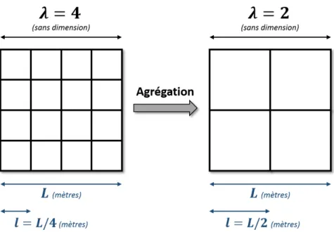 Figure 2.13 : Illustration des concepts de  résolution et d’échelle à partir  d’une entité fractale à deux dimensions (image satellite).