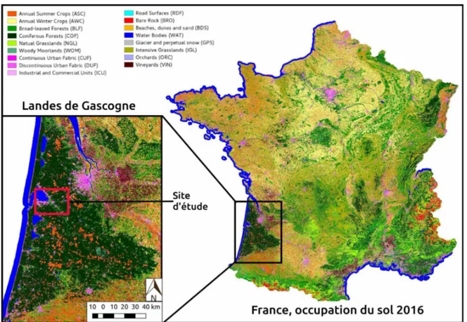 Figure II.1 : Localisation du site d’étude dans les Landes de Gascogne. Fond de carte : occupation du sol en 