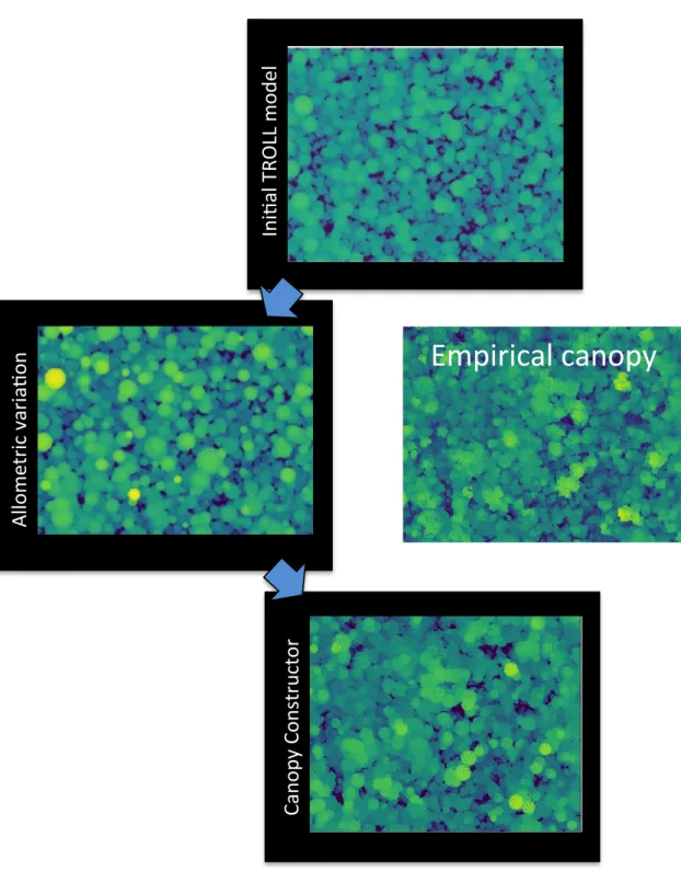 Figure	 8:	 Improvements	 in	 the	 representation	 of	 empirically	 observed	 canopy	 height	 with	 the	 TROLL	 forest	 growth	 