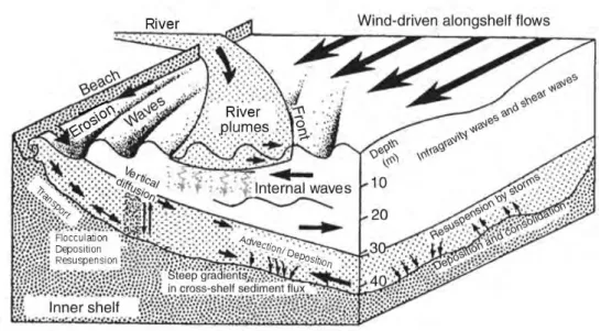 Figure I.3: Conceptual diagram illustrating the major process responsible for sediment transport, from Nit- Nit-trouer and Wright (1994).