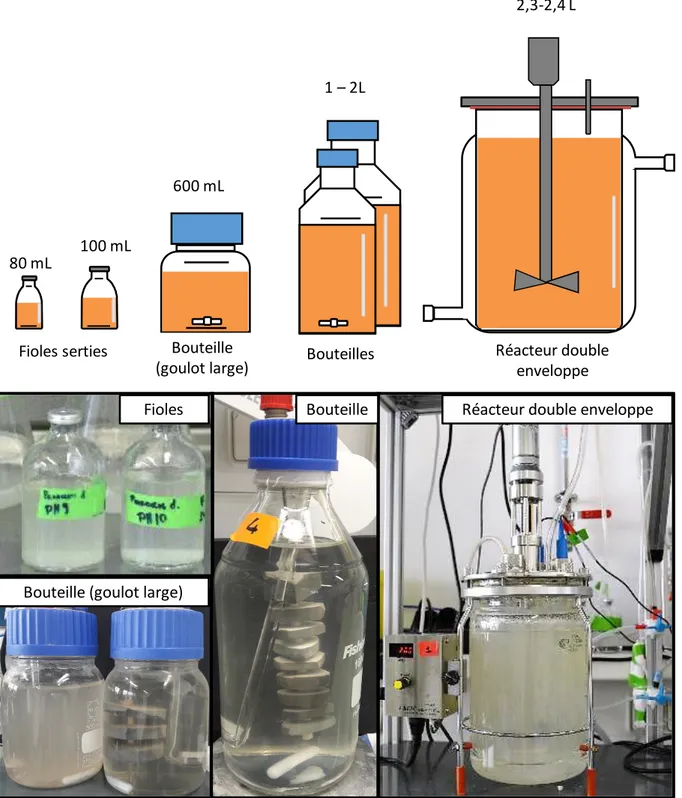 Figure 19 : Schémas et photographies de la verrerie utilisée pour les différents réacteurs