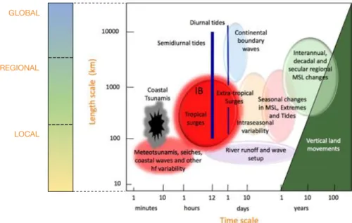 Figure 2.6: Schematic overview of local sea level processes.  Source: Woodworth et al