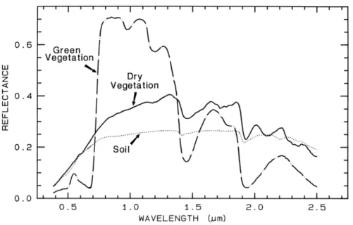 Figure 1.6 – Variation de la réflectance spectrale pour une plante verte et une plante sèche source : [Clark, 1999] dL e dλ = 2hc 2 λ 5 (exp( hc kλT ) − 1) (1.1) Avec : dL e