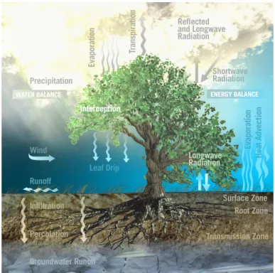 Figure 1.13 – Composantes terrestres et atmosphériques du bilan d’eau source : ESA