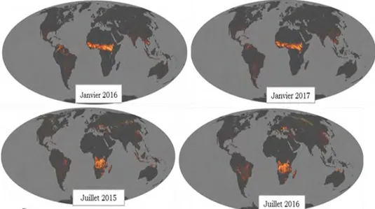 Figure I. 7:Cartes de feux de biomasse observés en Janvier (correspond à la saison sèche en Afrique 